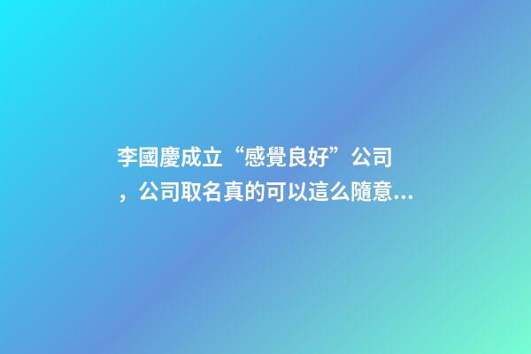 李國慶成立“感覺良好”公司，公司取名真的可以這么隨意嗎？-第1張-公司起名-玄機派